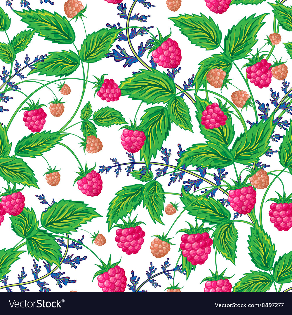 Raspberries seamless pattern with raspberry