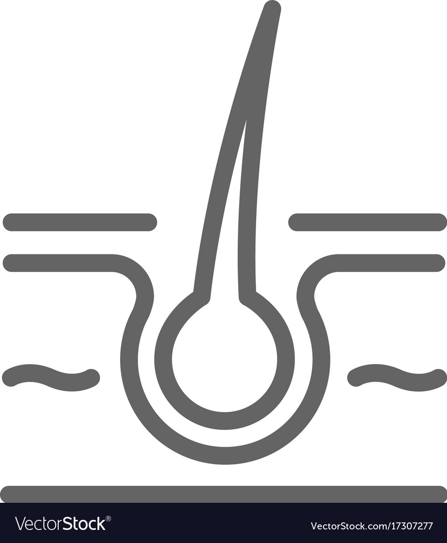 Einfache Haut und Haarlinie Symbol Zeichen Zeichen