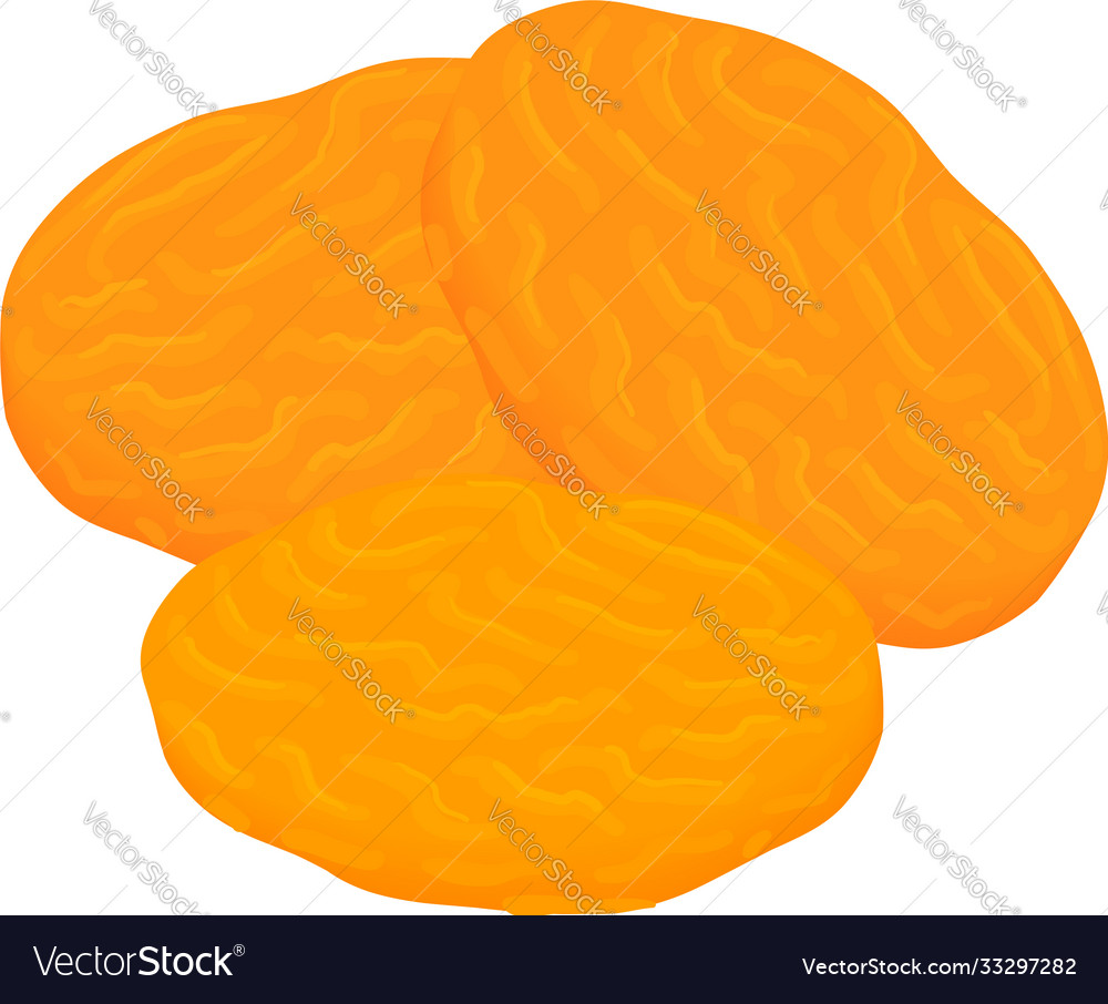 Apricot seed icon isometric style Royalty Free Vector Image