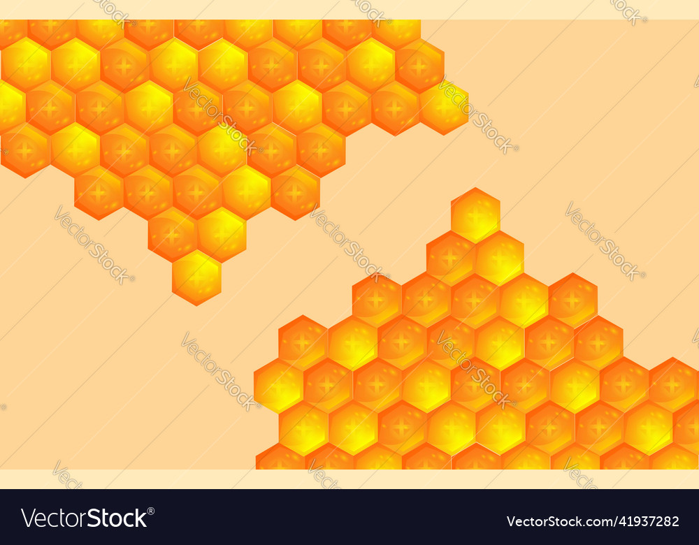 Background texture of a section Vector Image Background texture of a section