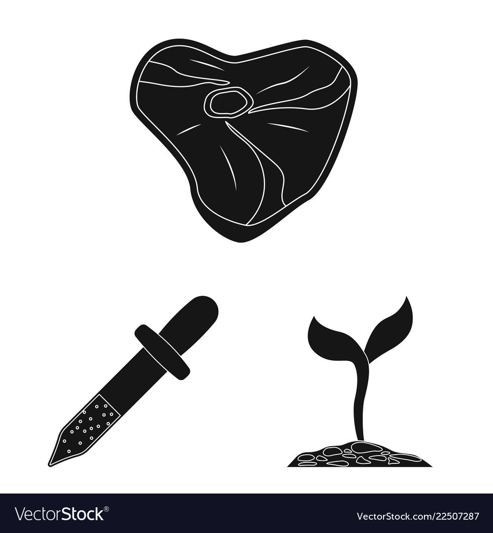 Isolated object of and logo collection vector image Isolated object of and logo collection