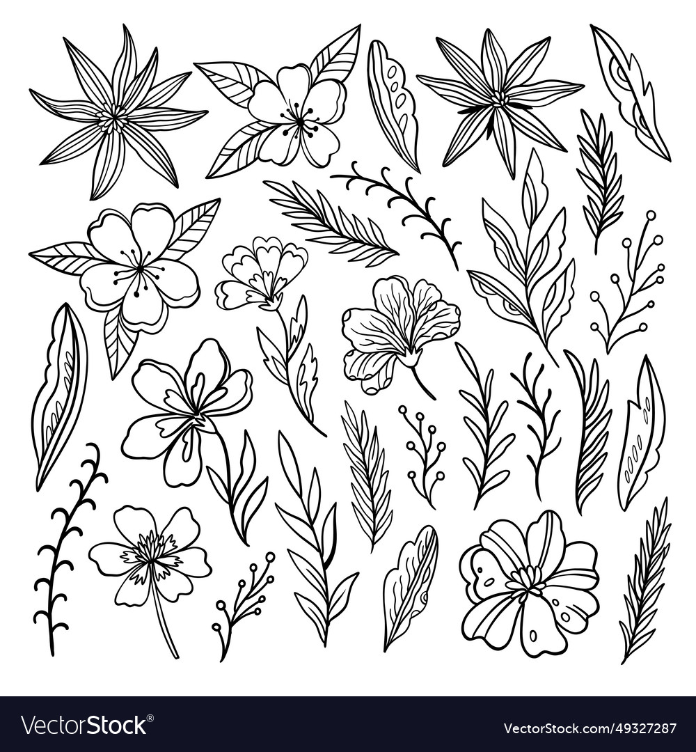 Outline contour doodle floral elements for design