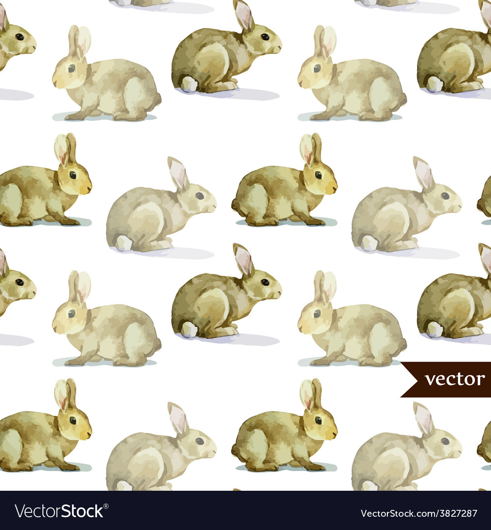 Rabbit hare pattern watercolor