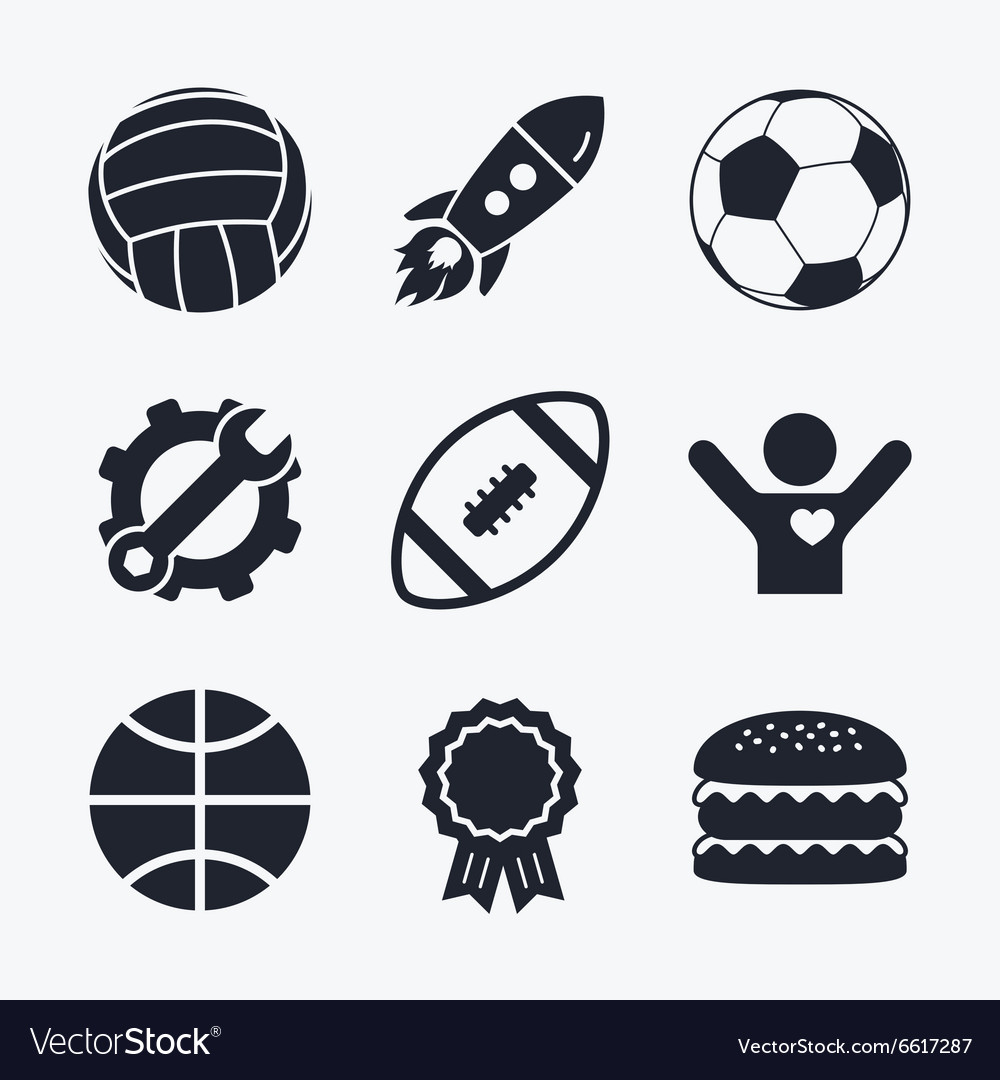 Sport balls volleyball basketball soccer