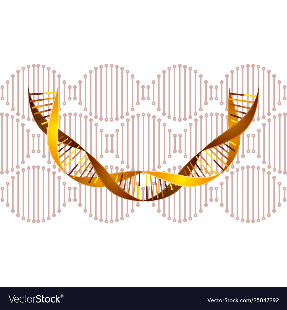 Dna chain with curve science icon Vector Image Dna chain with curve science icon