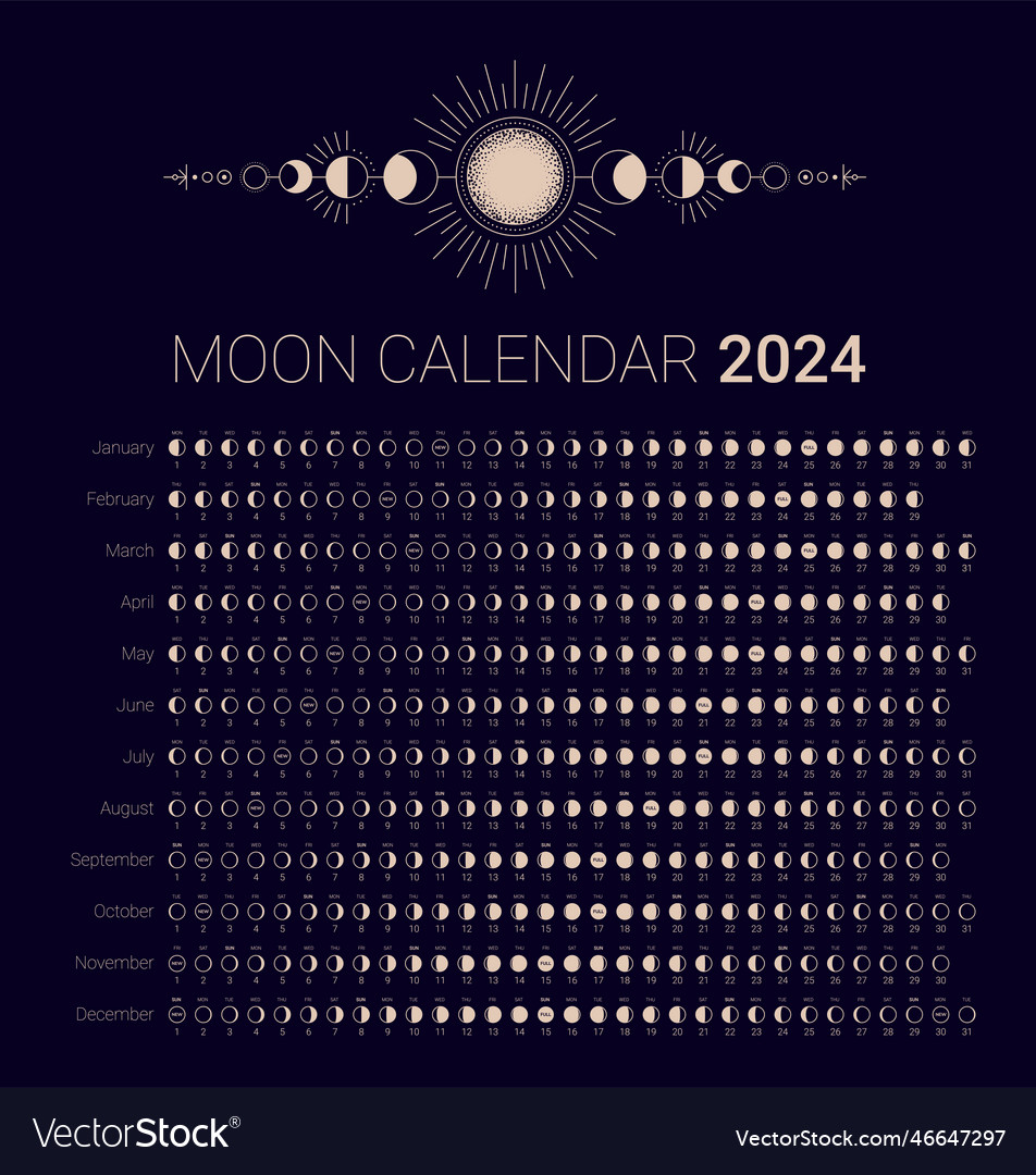 Moon phases calendar of 2024 year astrological Vector Image