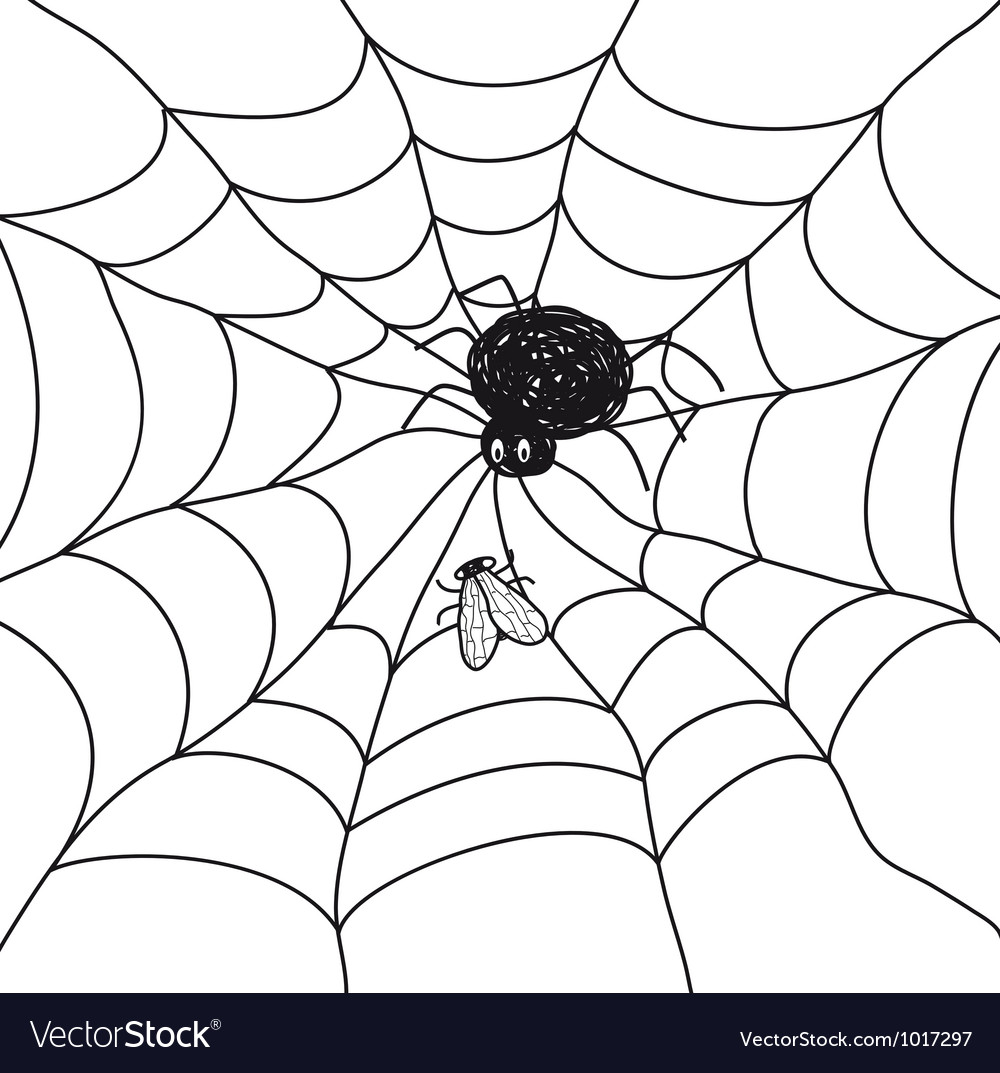 Spider with Fly on Web