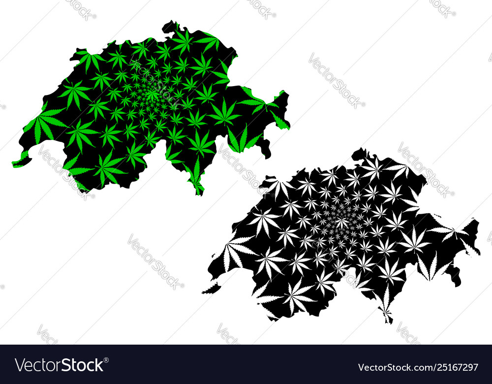 Switzerland - map is designed cannabis leaf