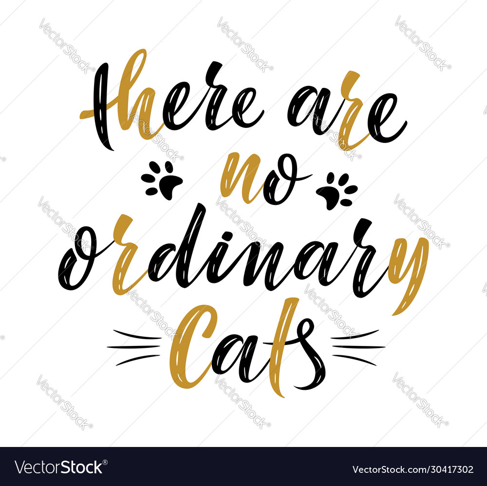 There are no ordinary cats handwritten sign Vector Image