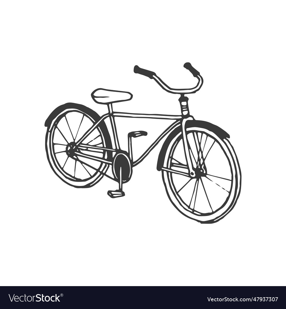 Bicycle handdrawn element vector image Bicycle handdrawn element