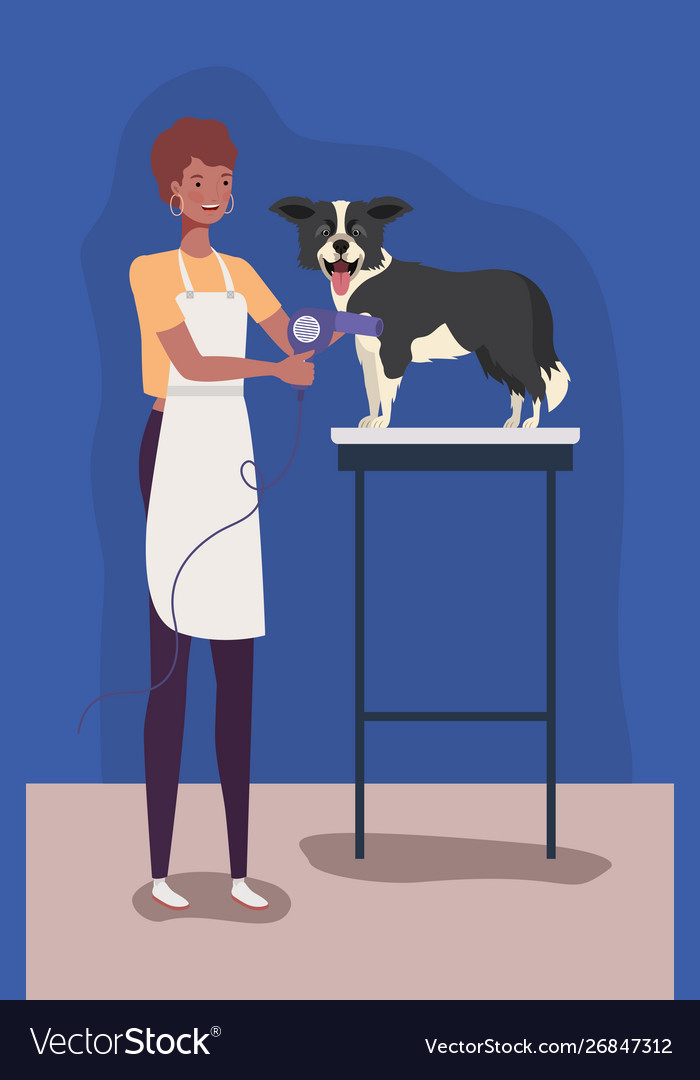 Niedliche Rand Kollie Hund Tiercharakter vector image Niedliche Rand Kollie Hund Tiercharakter