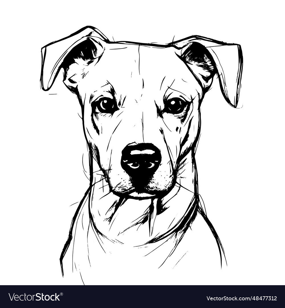 Dog animal for design sketch Royalty Free Vector Image