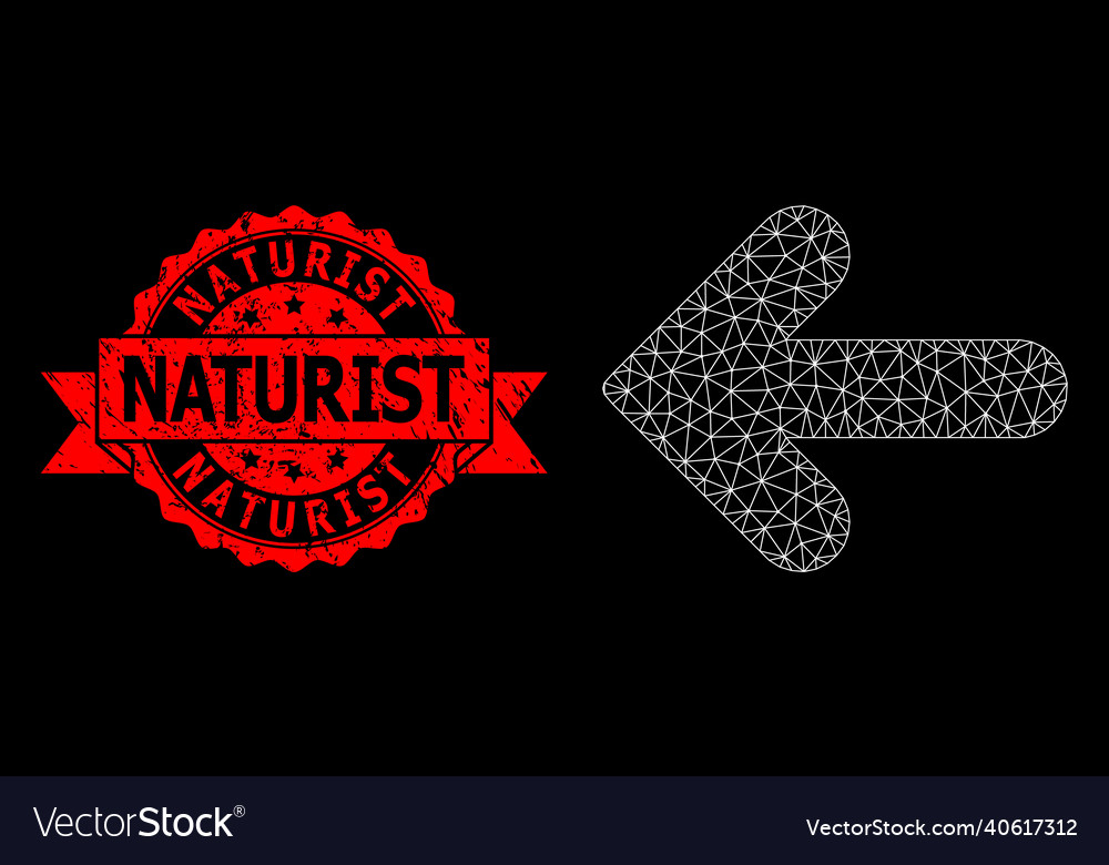 Triangulated network mesh left direction picture vector image Triangulated network mesh left direction picture