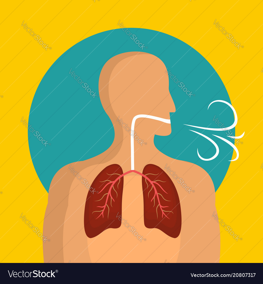 Breathing lungs icon flat style Royalty Free Vector Image