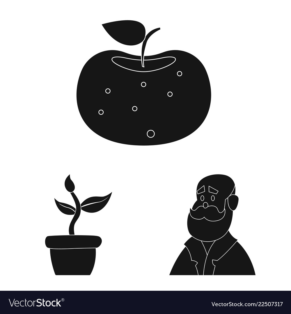 Isolated object of and icon set ve vector image Isolated object of and icon set ve