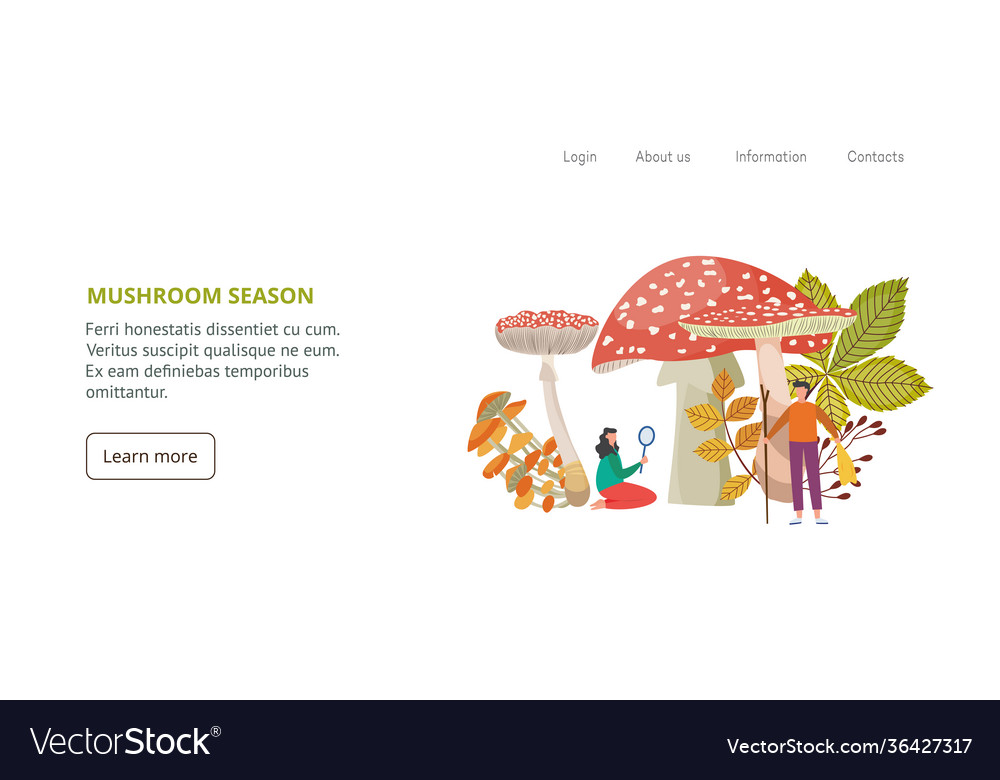 Mushroom season website banner template