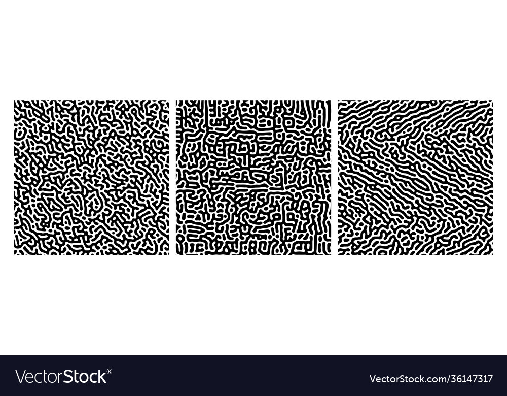 Set three turing reaction vector image Set three turing reaction