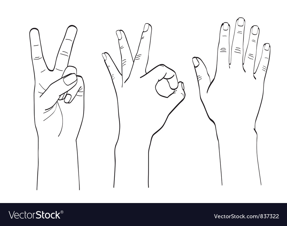 Hand gestures Royalty Free Vector Image - VectorStock