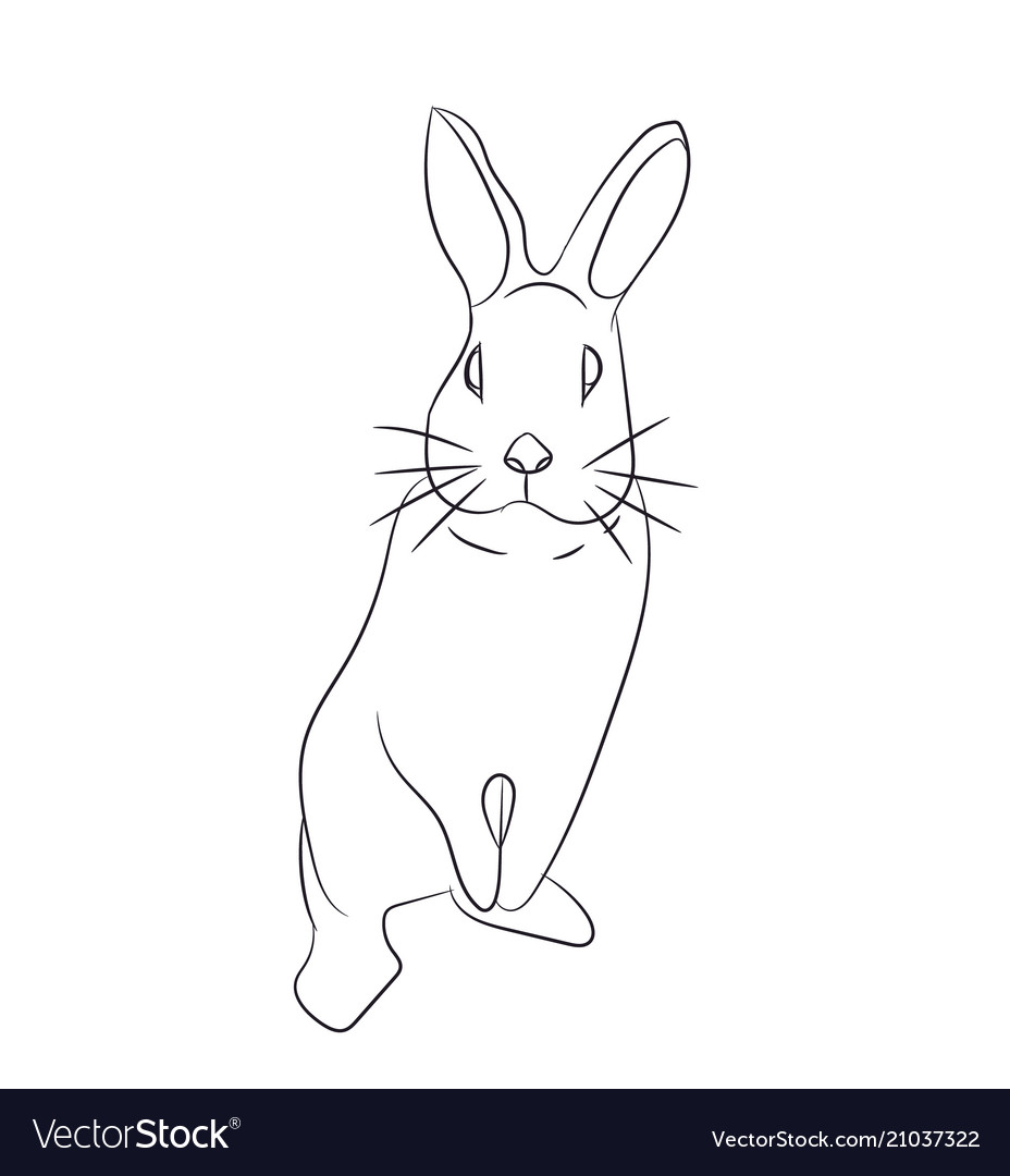 Rabbits with lines vector image Rabbits with lines
