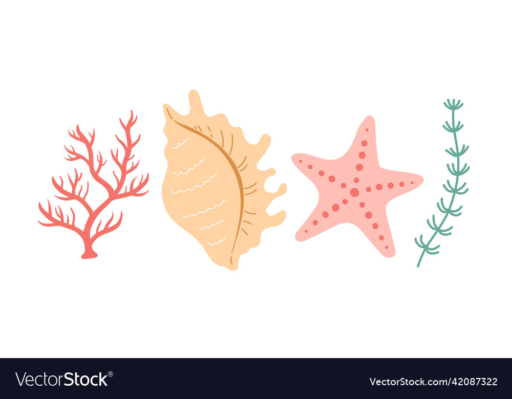 Seshell coral simple color flat design