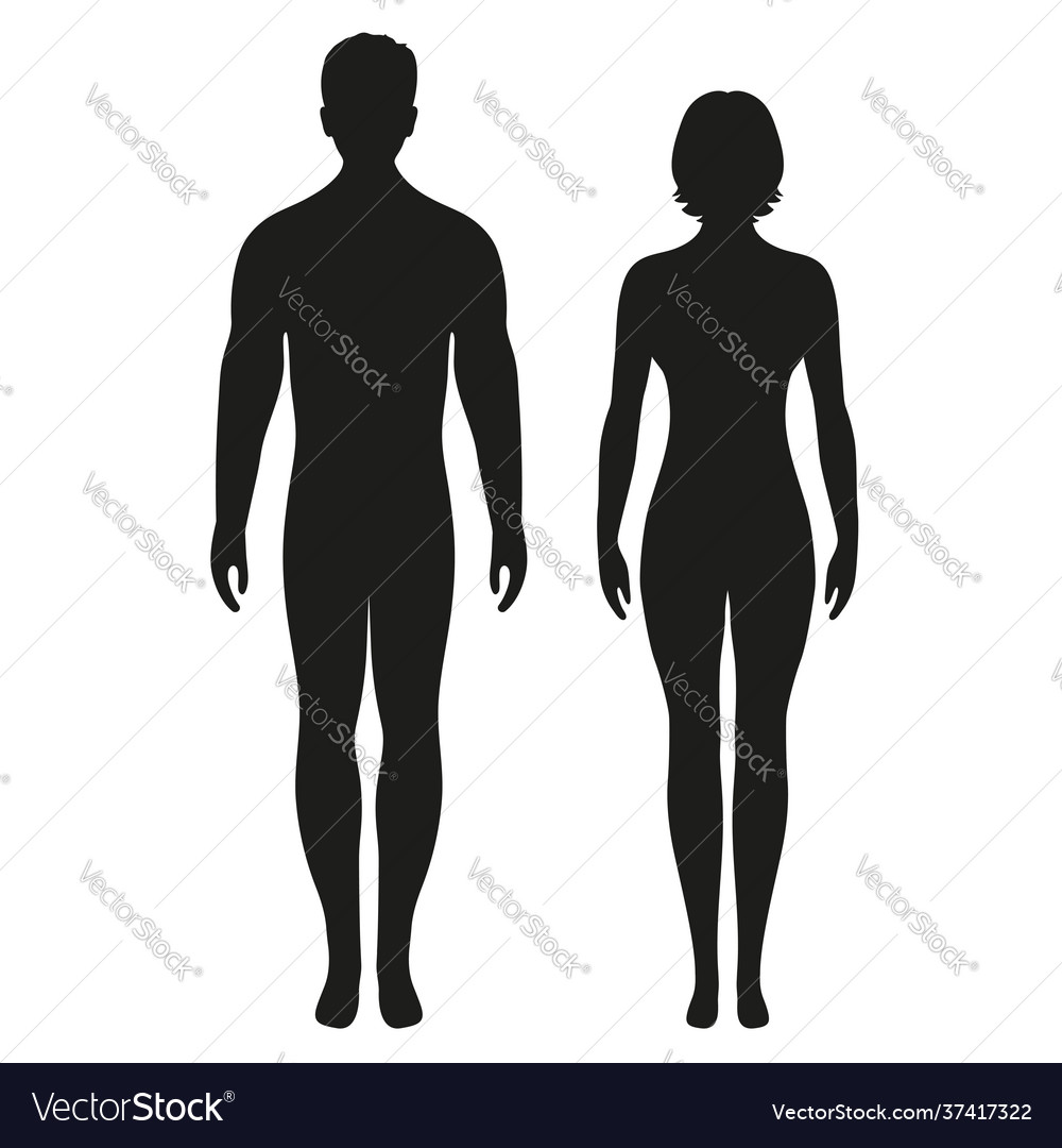 Silhouettes Man And Woman Royalty Free Vector Image