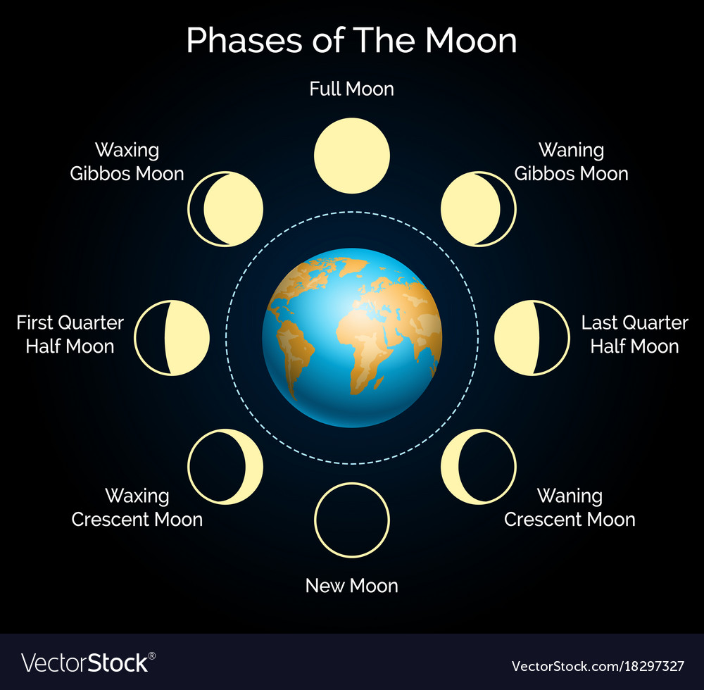 Earth and lunar phase set Royalty Free Vector Image