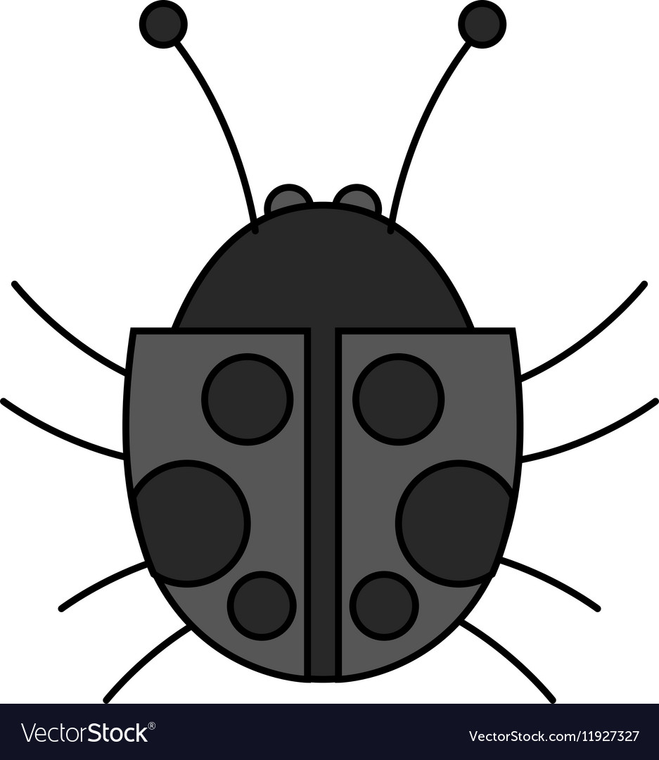 Isolated bug design