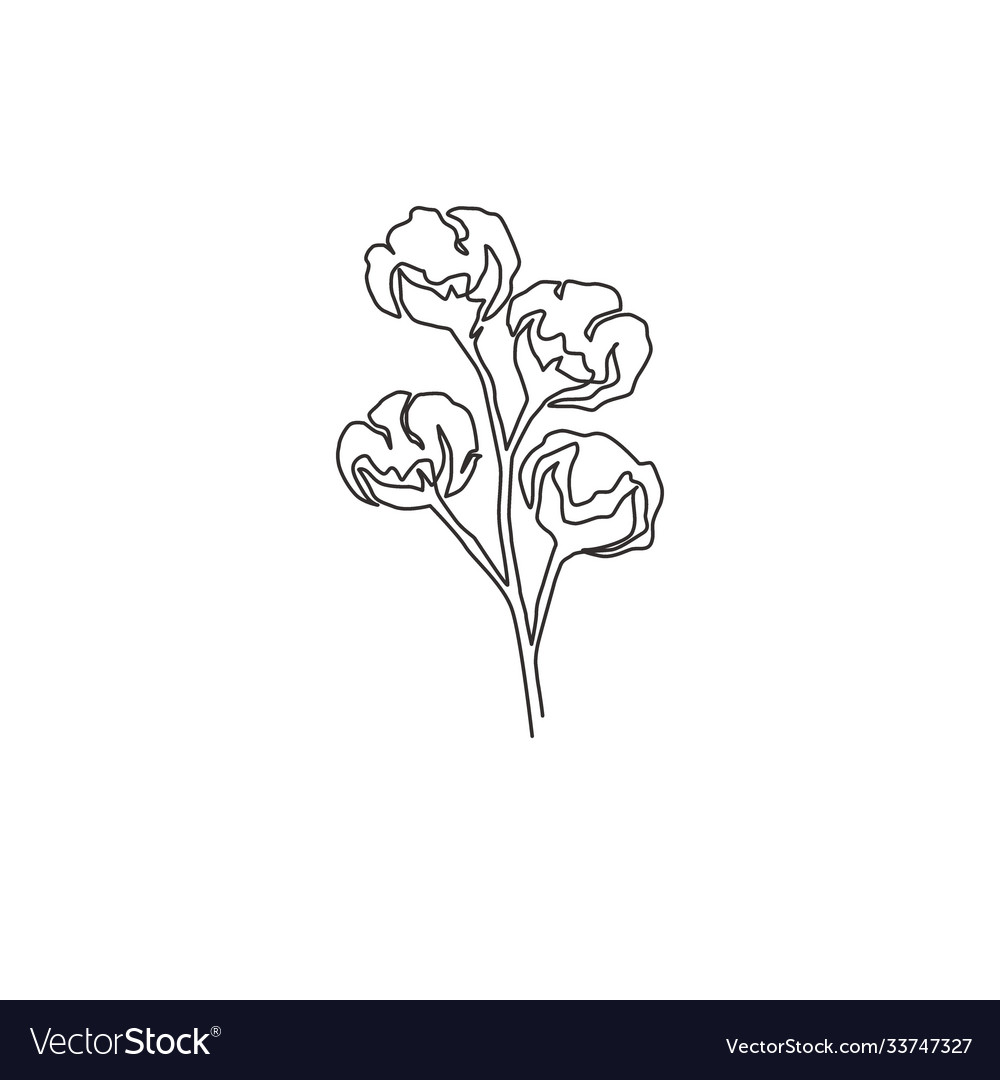 One continuous line drawing whole soft Royalty Free Vector