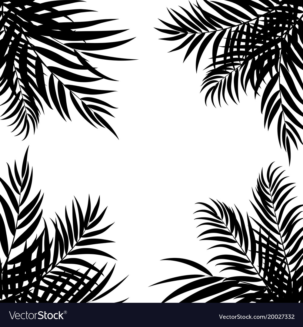 Beautiful Palm Tree Leaf Silhouette Background Vector Image