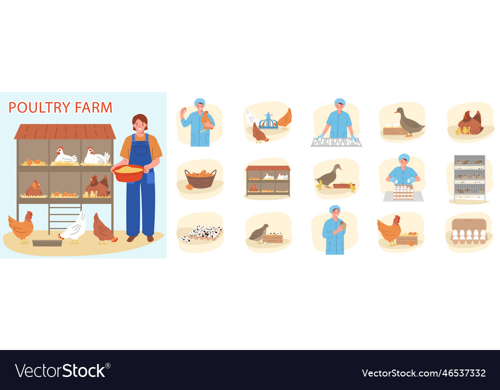 Eggs production composition vector image Eggs production composition
