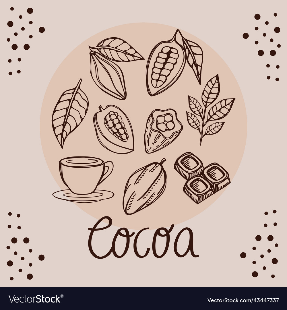 Cocoa products in frame