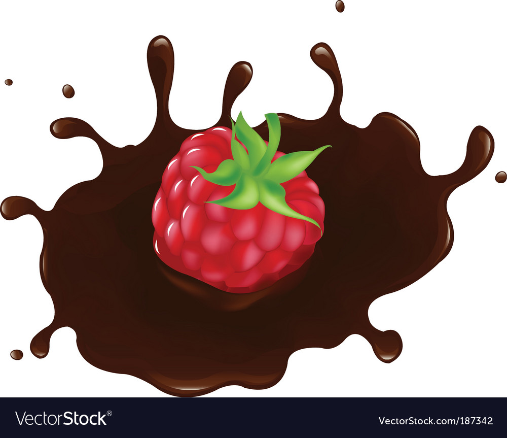 Chocolate raspberry Royalty Free Vector Image - VectorStock