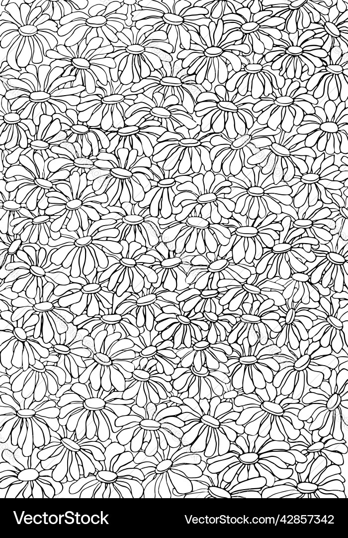 Daisies coloring page Royalty Free Vector Image