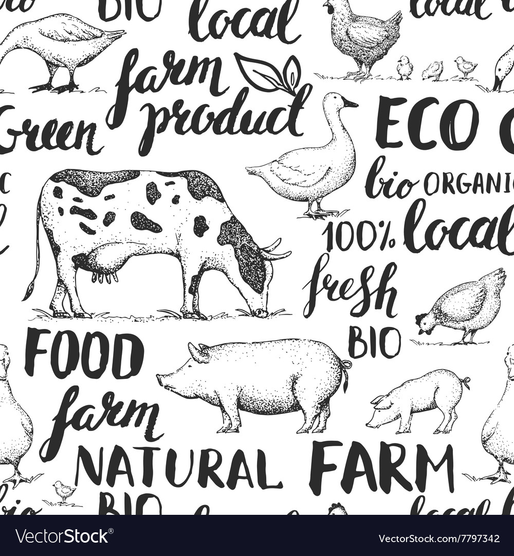 Farm Animals Pattern