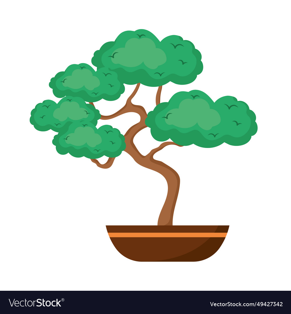 Japan bonsai tree Royalty Free Vector Image - VectorStock