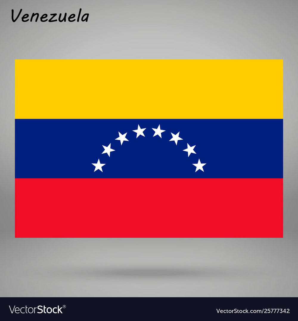 Simple flag isolated vector image Simple flag isolated