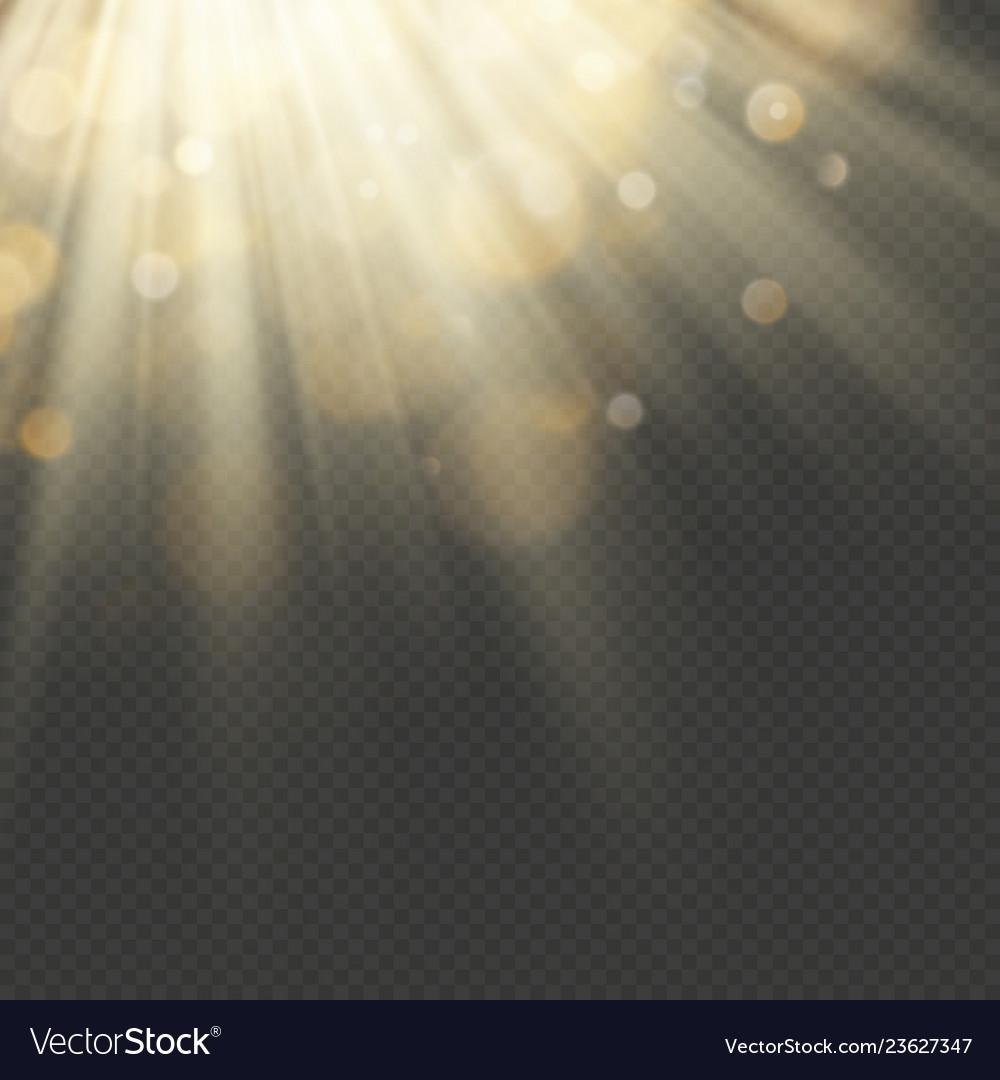 Light effect with glitter sequins shining rays Vector Image Light effect with glitter sequins shining rays
