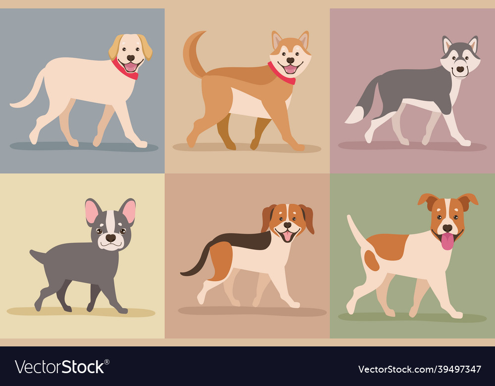 Six dogs mascots Royalty Free Vector Image - VectorStock