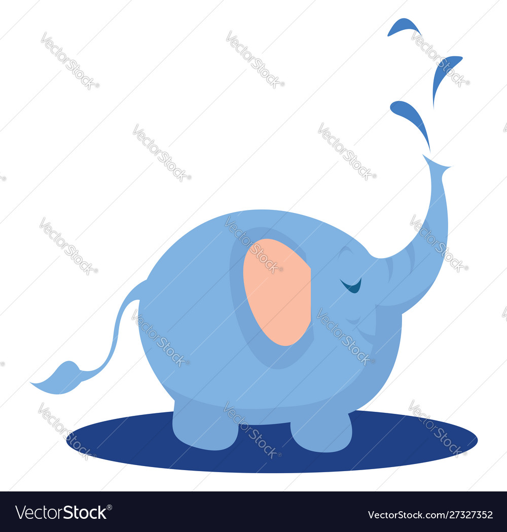Elephant on white background