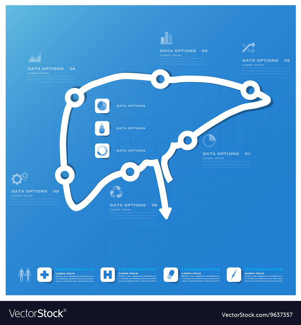 Liver shape business and medical infographic