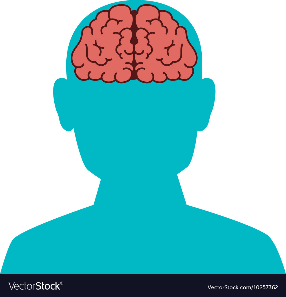 Face brain organ human Royalty Free Vector Image