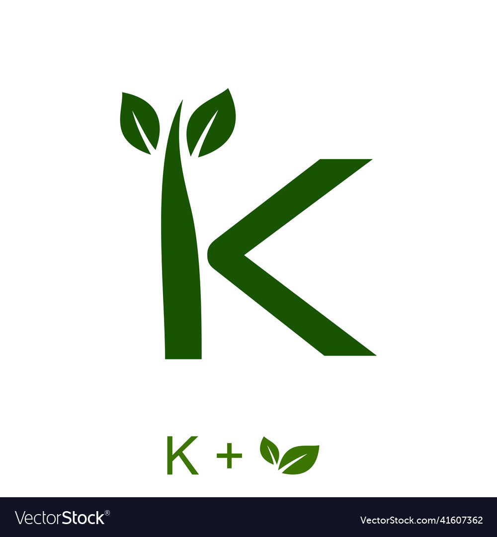 Letter k with a leaf concept