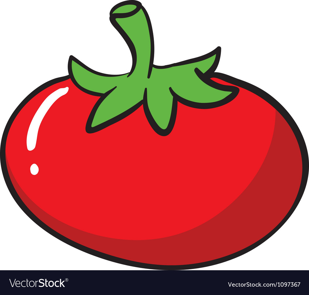 A tomato Royalty Free Vector Image - VectorStock