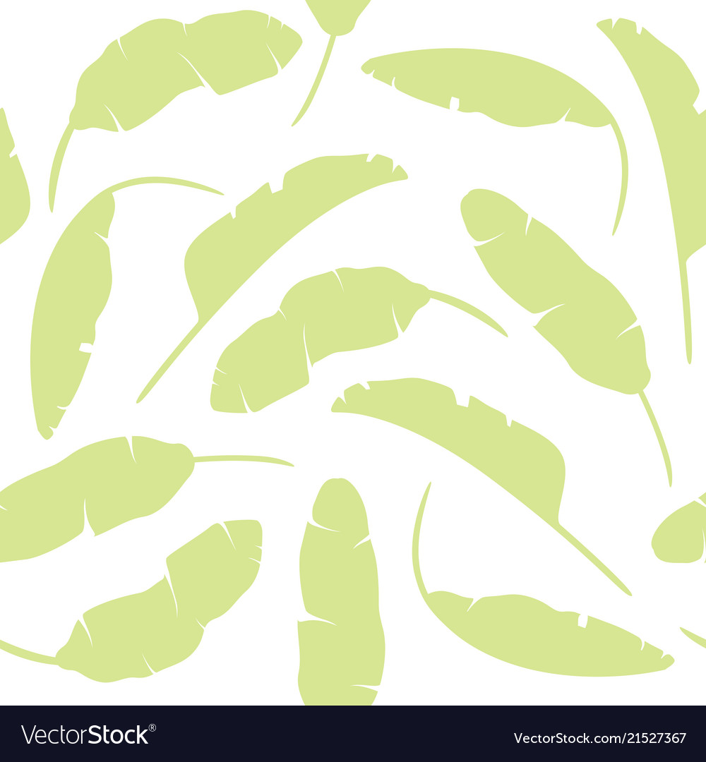 Set of tropical leaves banana isolated vector image Set of tropical leaves banana isolated