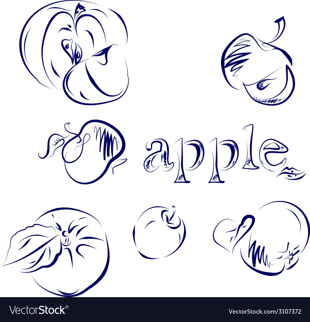 Apple doodle Royalty Free Vector Image VectorStock