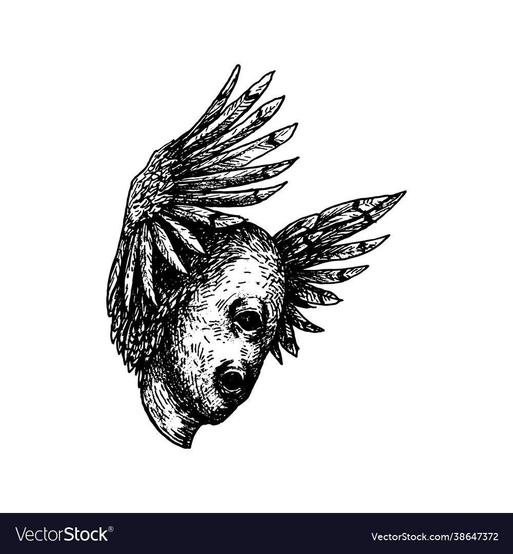 Mutant with wings and feathers vector image Mutant with wings and feathers