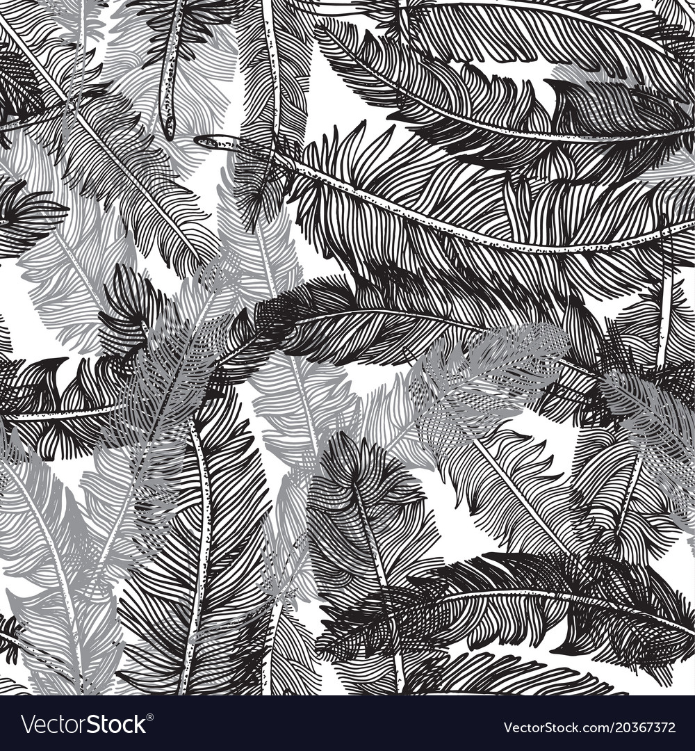 Seamless pattern of feathers