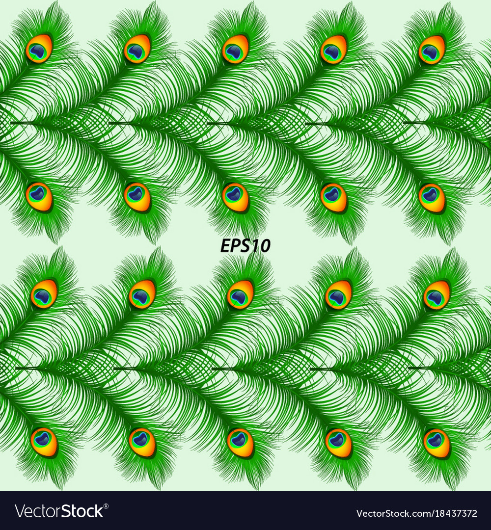 Seamless Peacock Feather Pattern Royalty Free Vector Image 1690