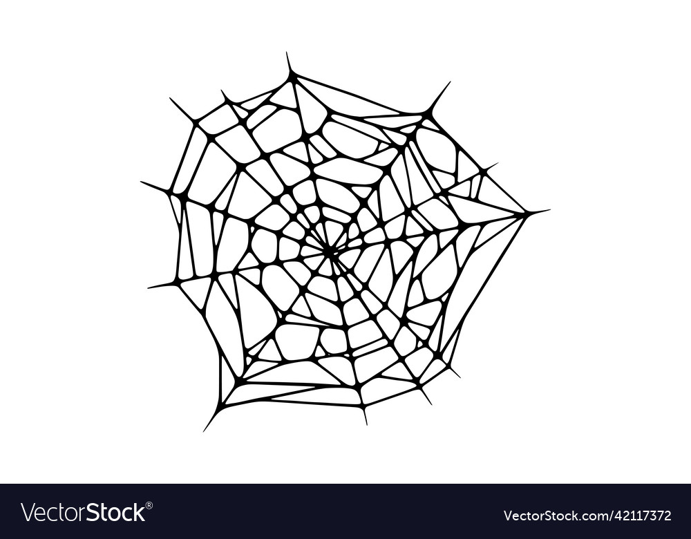 Spider web isolated on white background spooky