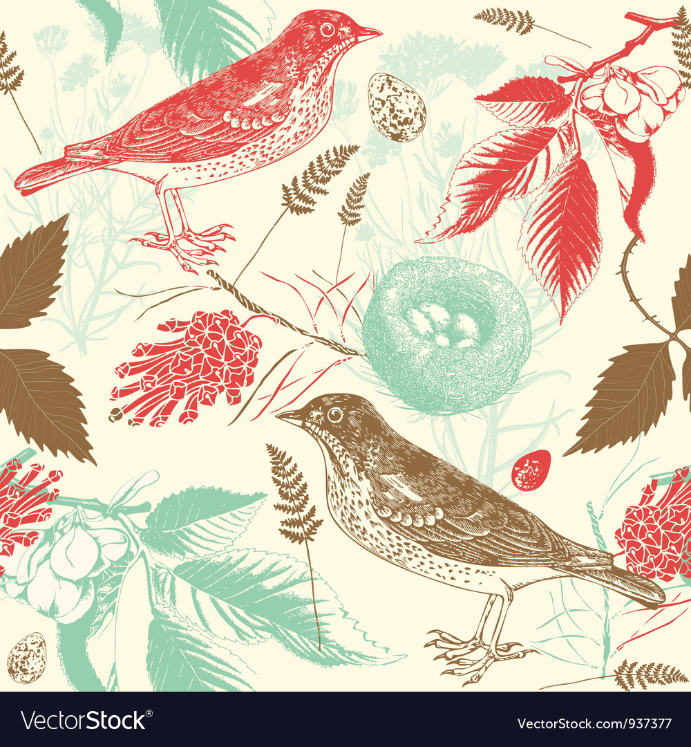 Birds and nature landscape Royalty Free Vector Image
